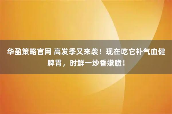 华盈策略官网 高发季又来袭！现在吃它补气血健脾胃，时鲜一炒香嫩脆！