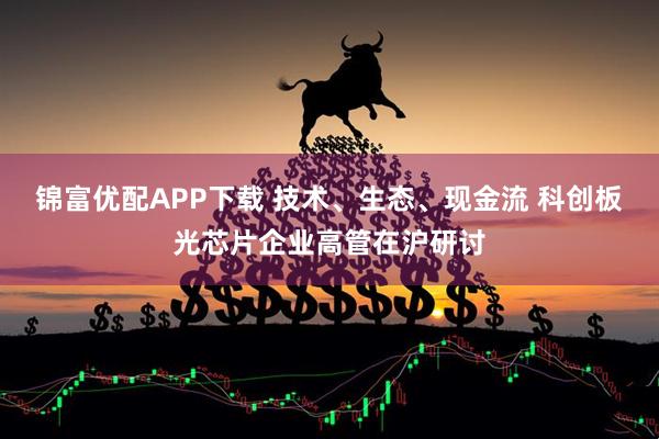 锦富优配APP下载 技术、生态、现金流 科创板光芯片企业高管在沪研讨