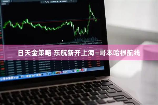 日天金策略 东航新开上海—哥本哈根航线