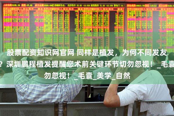 股票配资知识网官网 同样是植发，为何不同发友差别那么大？深圳鹏程植发提醒您术前关键环节切勿忽视！_毛囊_美学_自然