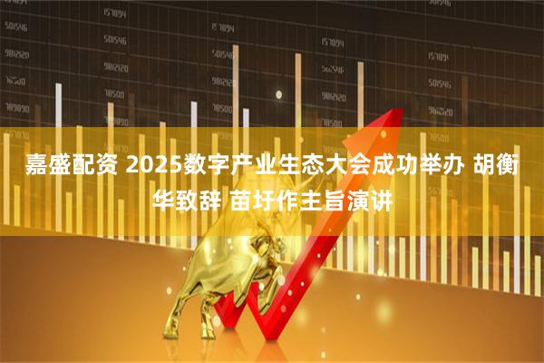 嘉盛配资 2025数字产业生态大会成功举办 胡衡华致辞 苗圩作主旨演讲