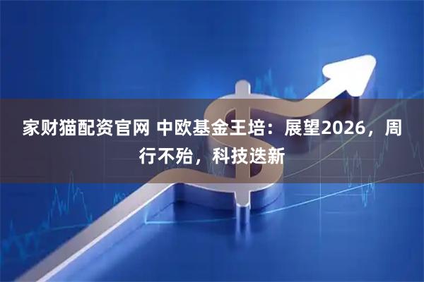 家财猫配资官网 中欧基金王培：展望2026，周行不殆，科技迭新